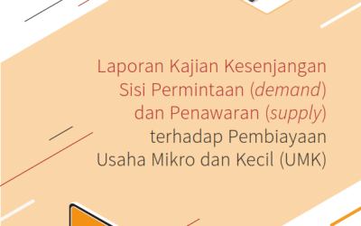 Micro and Small Enterprises Financing Needs Profiling: Supply and Demand Gaps